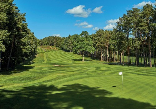 Exploring the Limit on Strokes at Golf Events in Salt Lake County, Utah